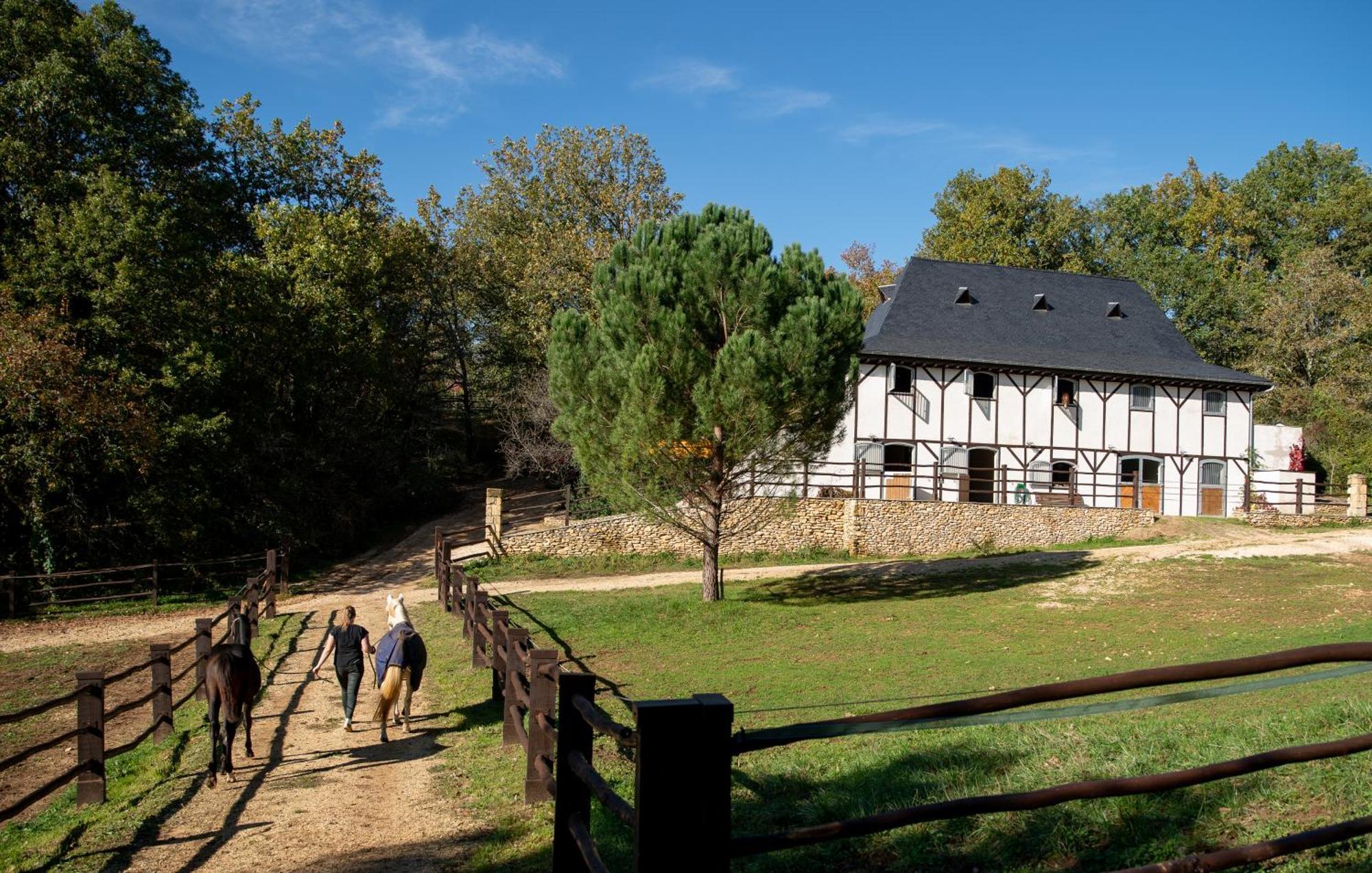 Cabane de La Mésange Auriac-du-Périgord Exterior foto